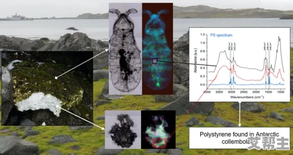 结合处粘腻水声拍打声引发广泛关注，科学家称其可能预示着重大生态变化！