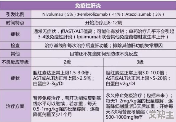 探究银血佩尔的性能与特点：它究竟如何表现？