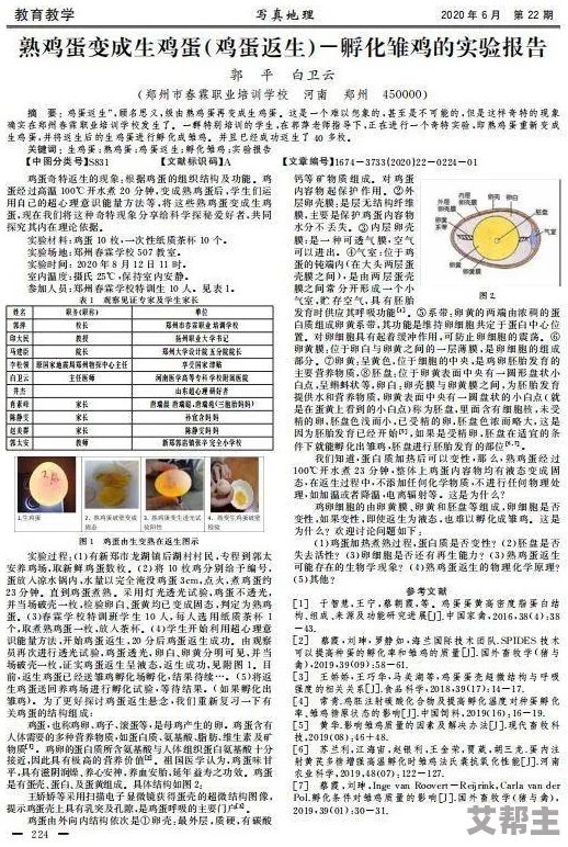 好粗好大好深：近期社交媒体热议的“尺寸文化”引发广泛讨论，网友们纷纷分享个人看法与经历