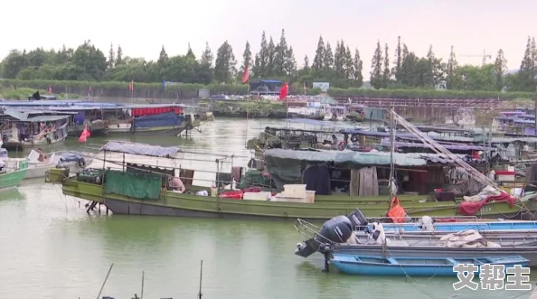 两岸夹小溪地湿又无泥：浅谈生态环境对水体质量的影响及其保护措施研究