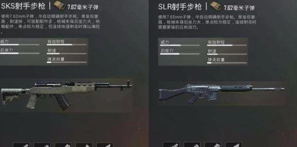 地铁逃生游戏中：MK12与SLR步枪，哪个造成的伤害更高？