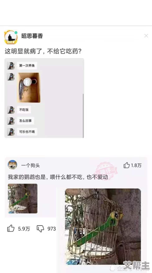 男人边吃奶边做性视频网友对此表示震惊与不解，认为这种行为过于离谱且缺乏道德底线，引发了广泛讨论和争议