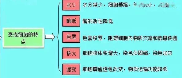 欧美交换性一区二区三区，内容丰富多样，让人耳目一新，值得一看！