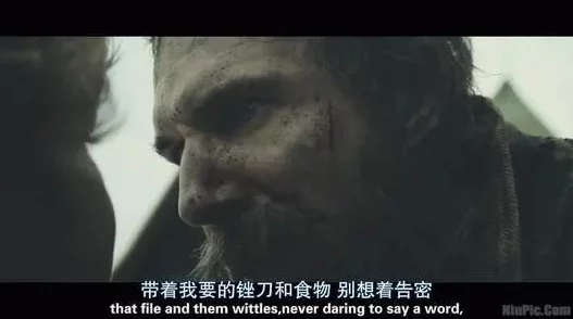 公妇乱爱电影：这部影片情节跌宕起伏，演员表现出色，让人深思家庭与爱情的复杂关系