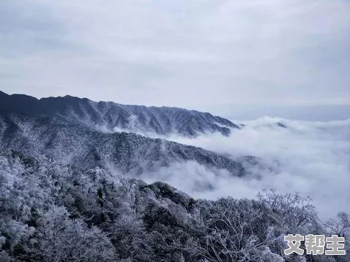 无尽大冒险平民攻略2024：零氪玩家高效玩法技巧与最新版本详解