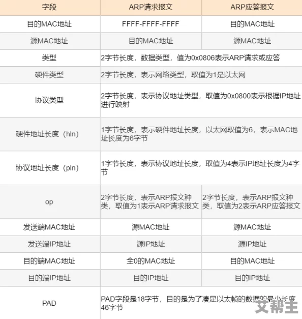 封神幻想世界游戏42级奇遇任务地点全解析及最新更新内容概览