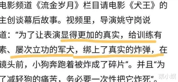 国产精品黄色片引发热议网友讨论内容健康与文化传播的界限以及如何平衡娱乐与社会责任的问题